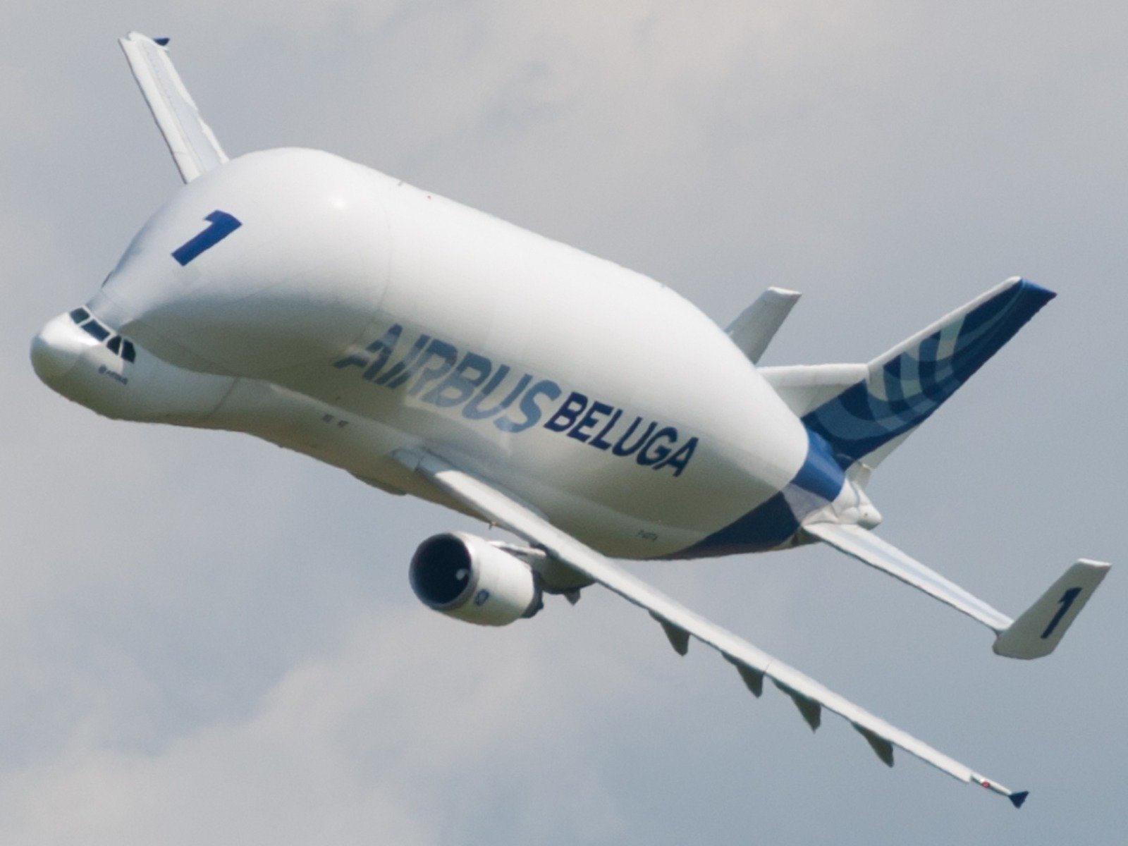 Yes, This Is A Real Plane: Meet Airbus' Flying Beluga Whale | The ...